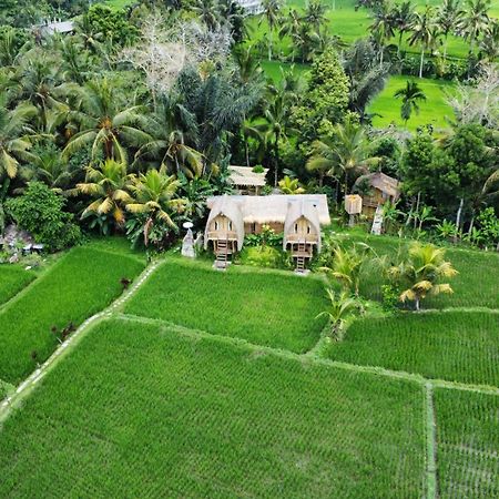 Kawig Bamboo House - Ricefield View, Eco Bamboo Home Tampaksiring 外观 照片