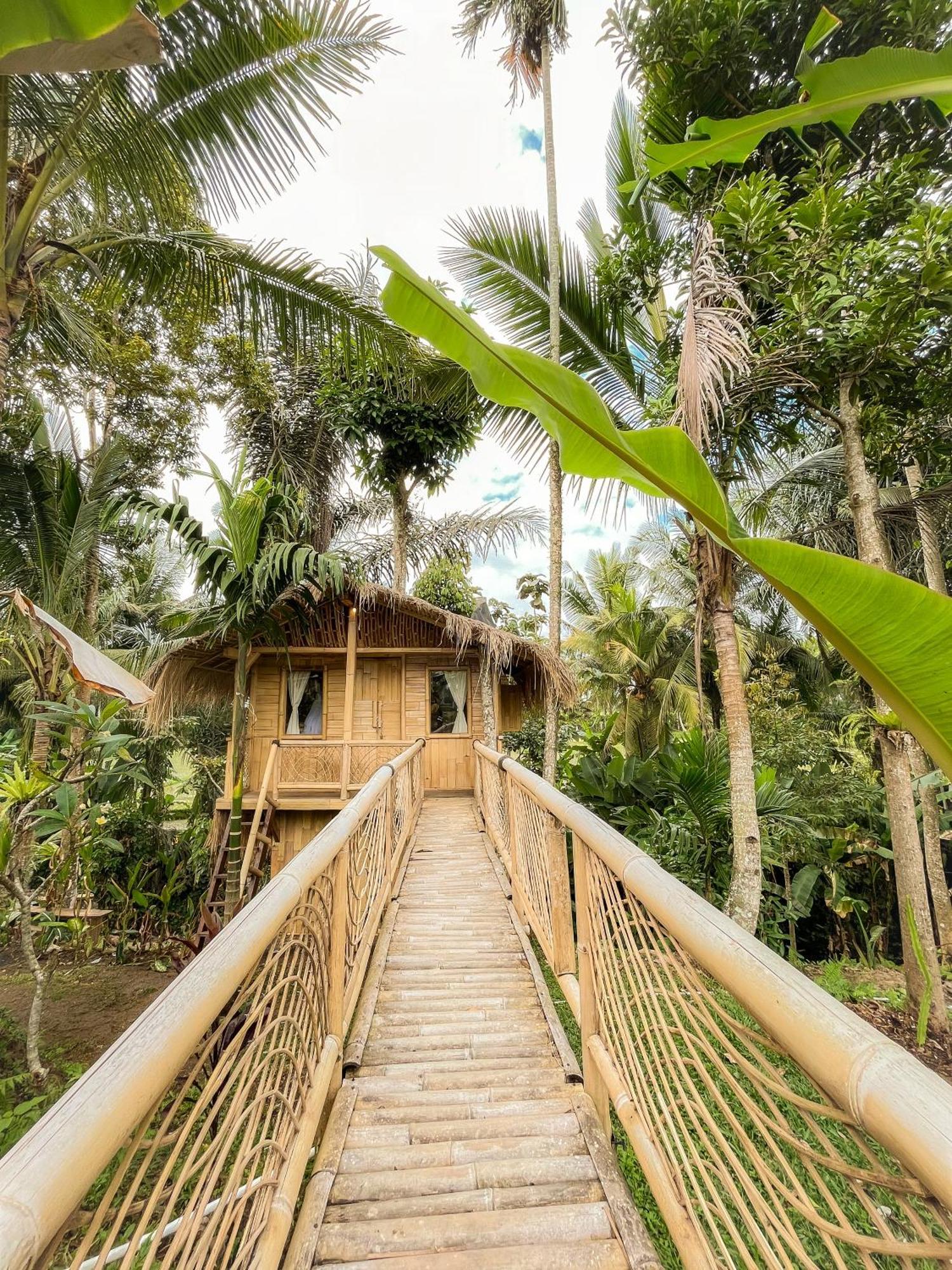 Kawig Bamboo House - Ricefield View, Eco Bamboo Home Tampaksiring 外观 照片