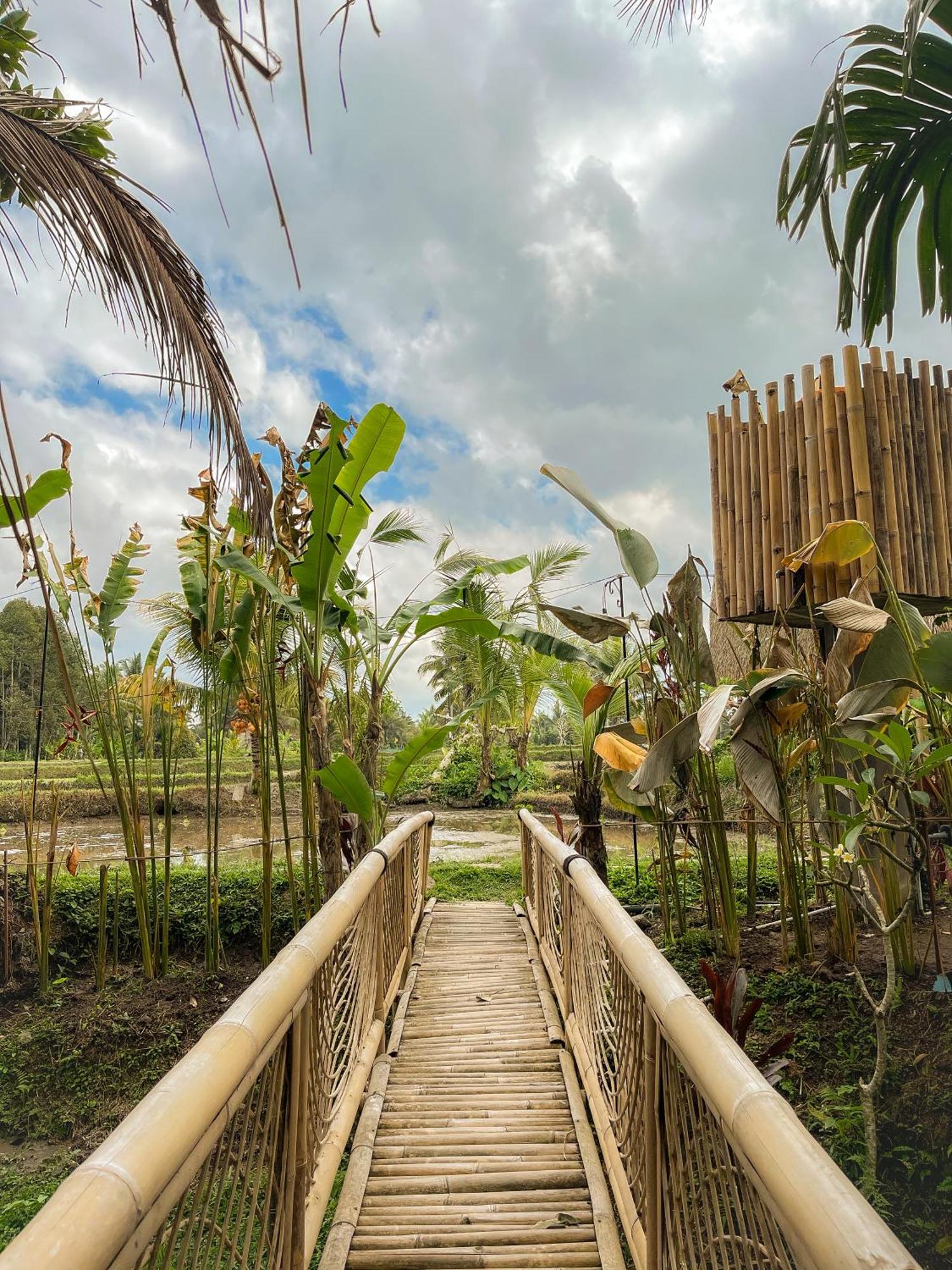 Kawig Bamboo House - Ricefield View, Eco Bamboo Home Tampaksiring 外观 照片