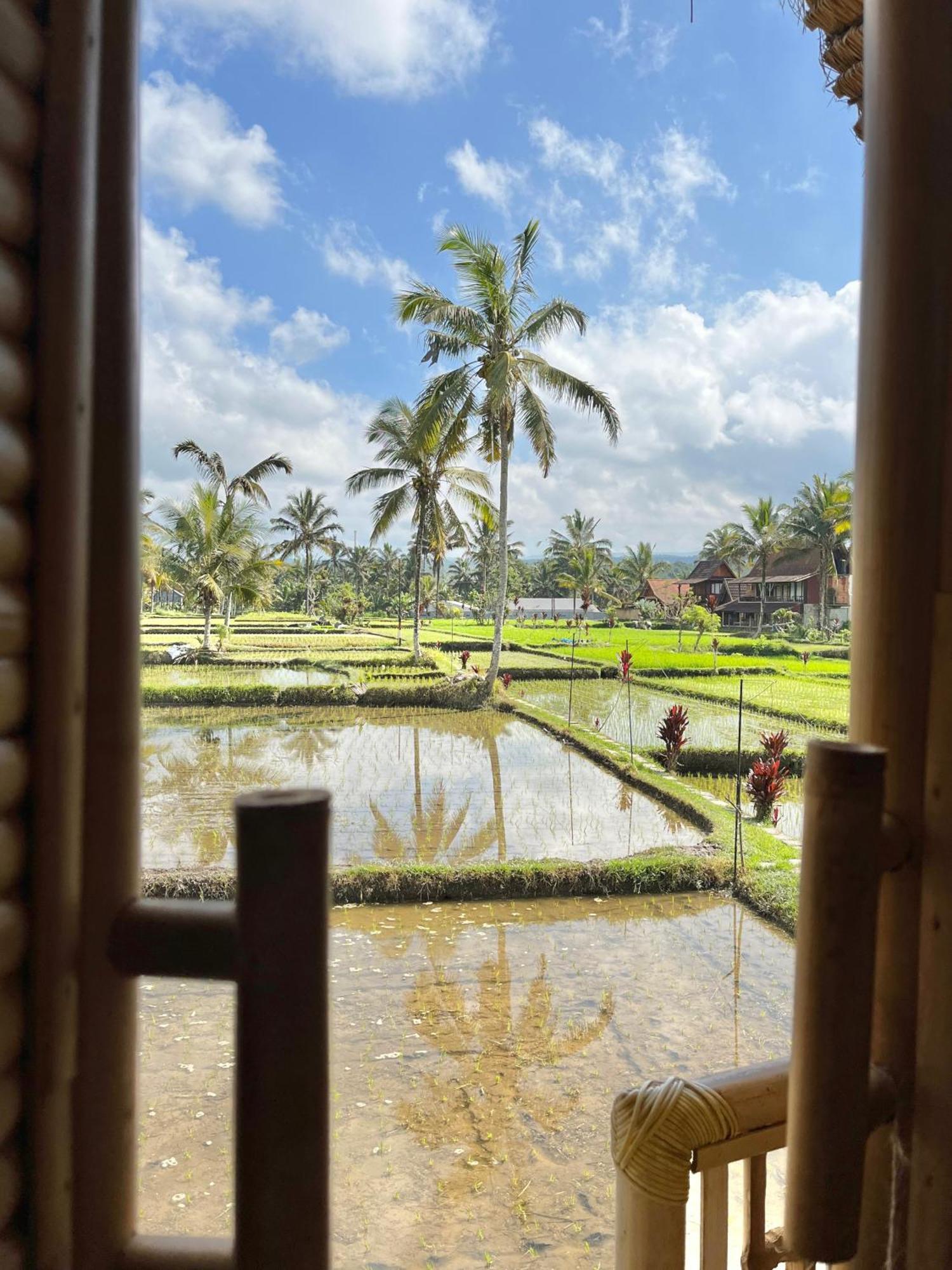 Kawig Bamboo House - Ricefield View, Eco Bamboo Home Tampaksiring 外观 照片
