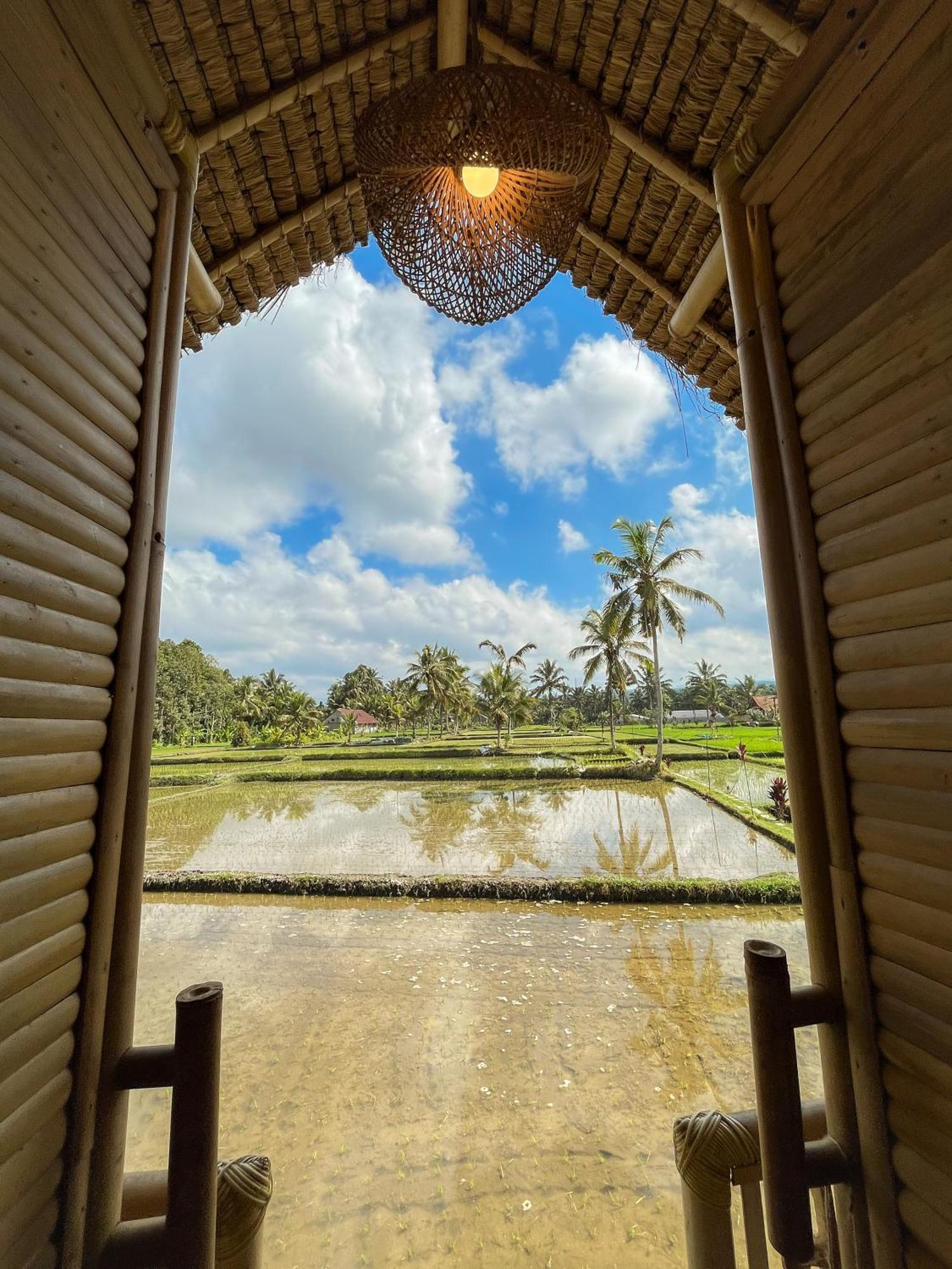 Kawig Bamboo House - Ricefield View, Eco Bamboo Home Tampaksiring 外观 照片