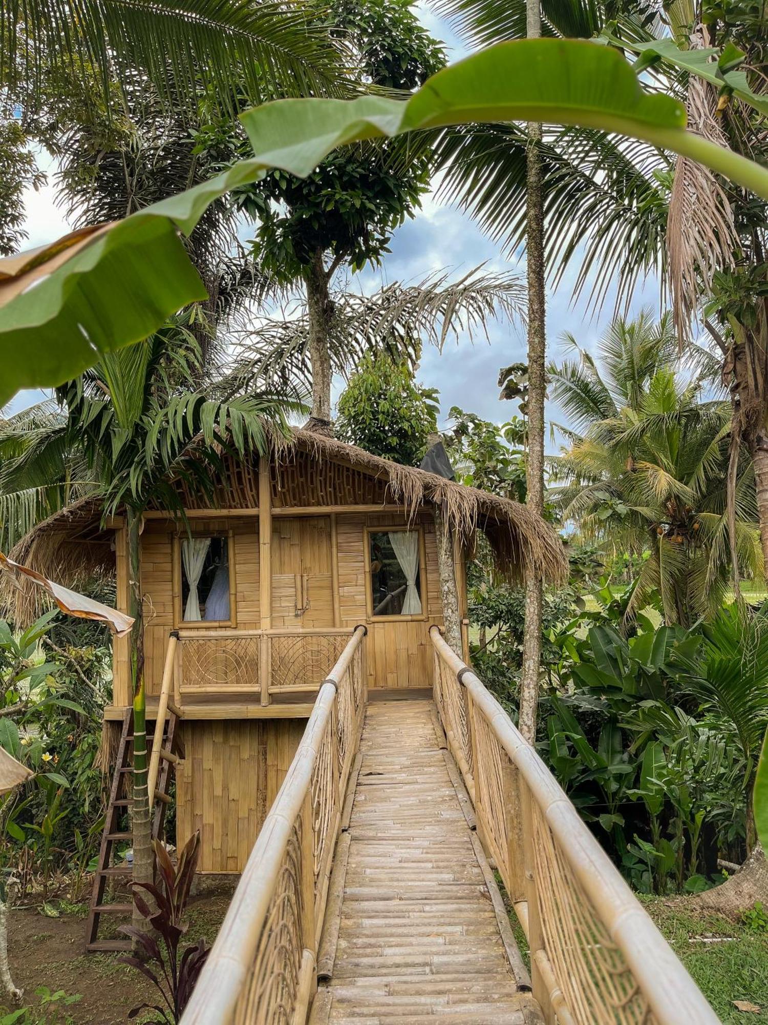 Kawig Bamboo House - Ricefield View, Eco Bamboo Home Tampaksiring 外观 照片