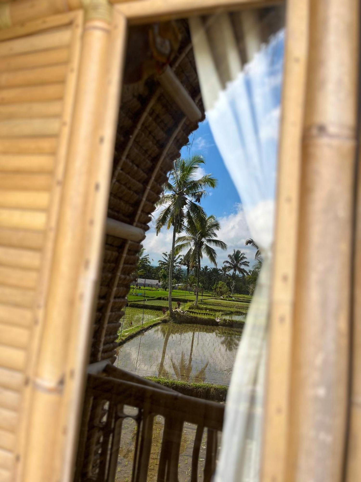 Kawig Bamboo House - Ricefield View, Eco Bamboo Home Tampaksiring 外观 照片