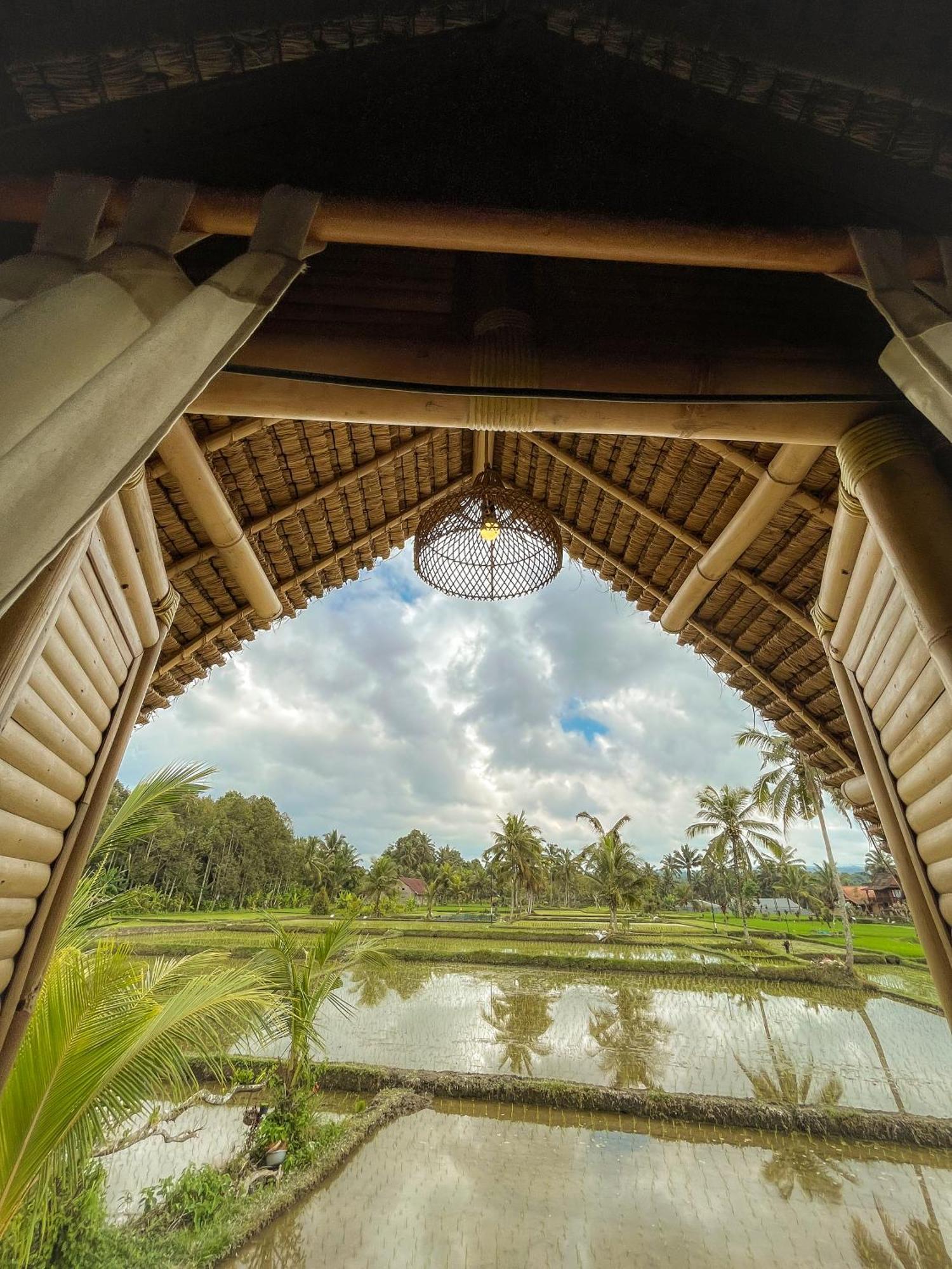 Kawig Bamboo House - Ricefield View, Eco Bamboo Home Tampaksiring 外观 照片