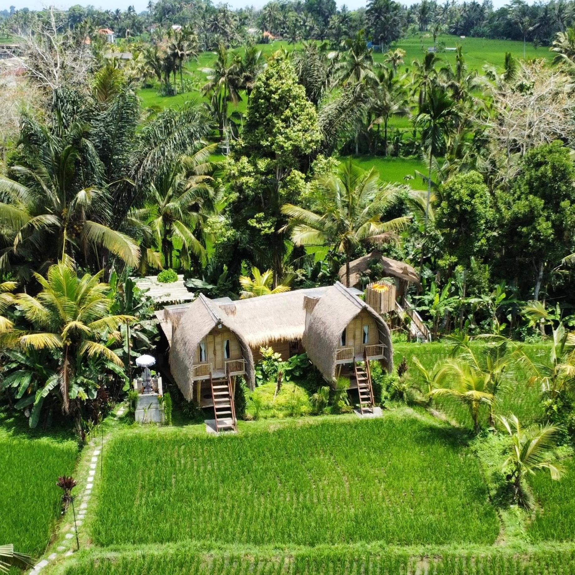 Kawig Bamboo House - Ricefield View, Eco Bamboo Home Tampaksiring 外观 照片