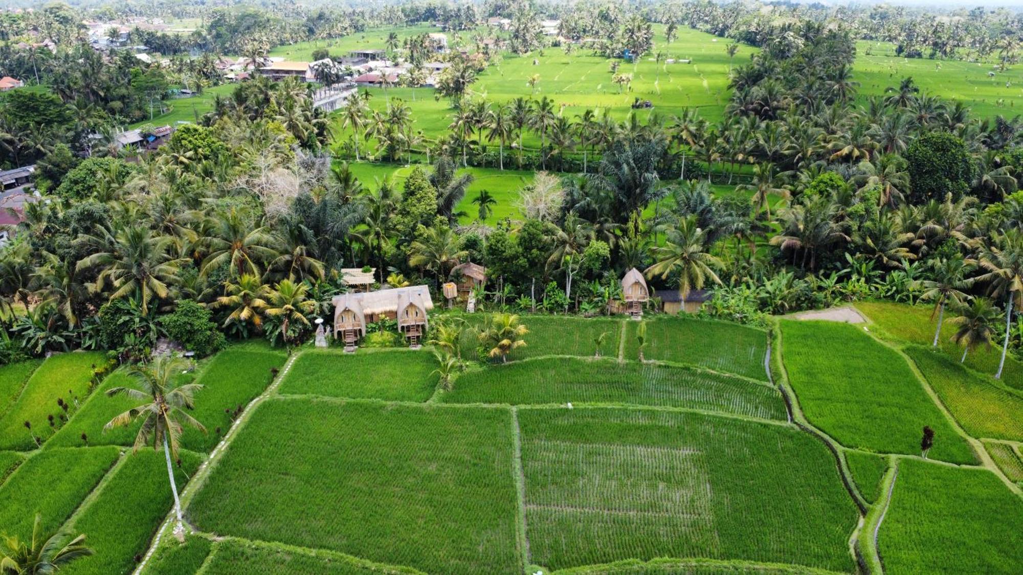 Kawig Bamboo House - Ricefield View, Eco Bamboo Home Tampaksiring 外观 照片