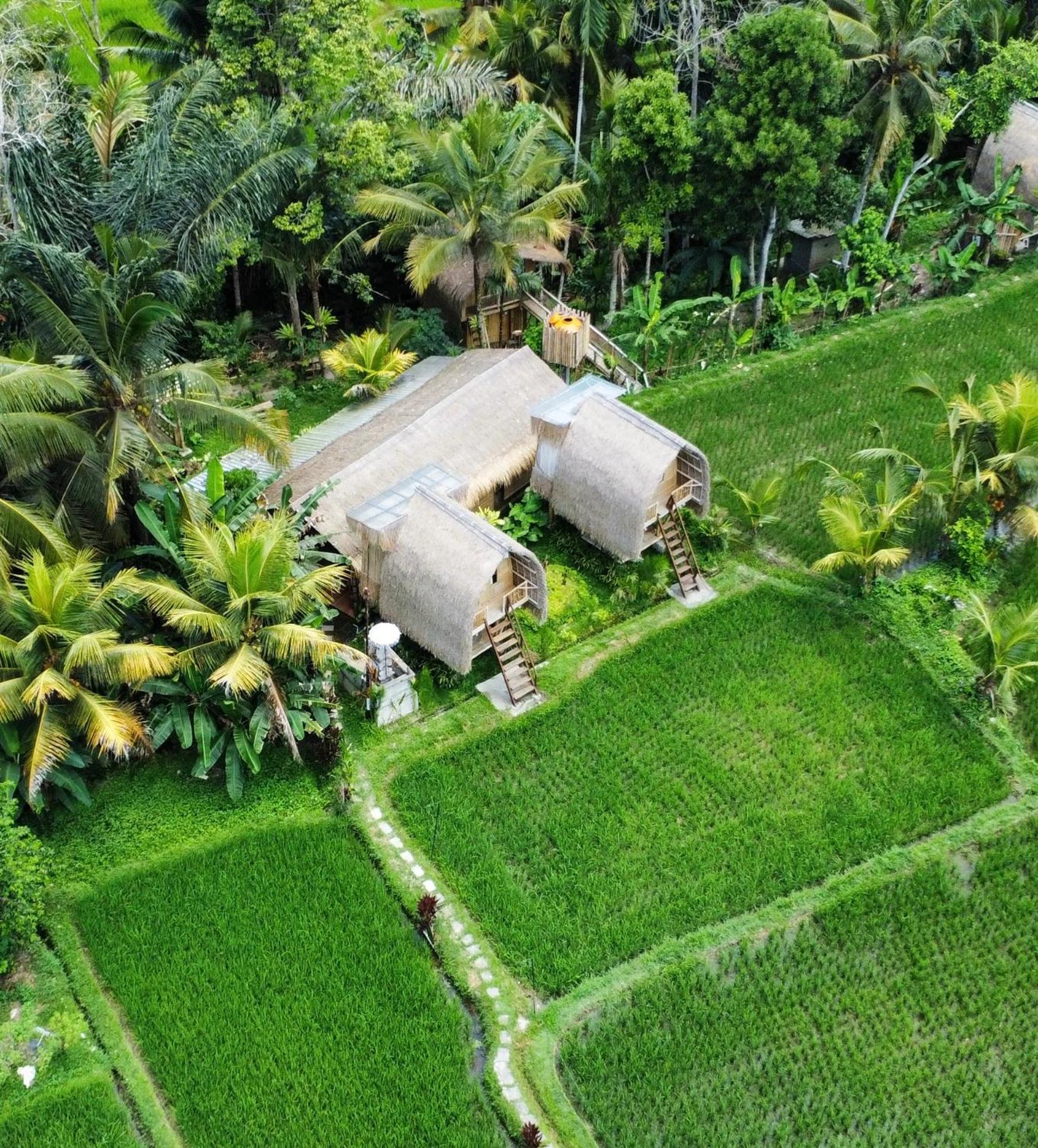 Kawig Bamboo House - Ricefield View, Eco Bamboo Home Tampaksiring 外观 照片