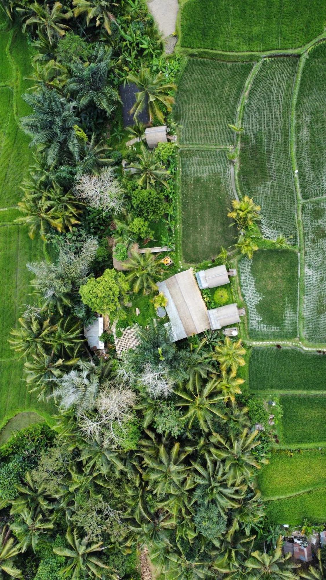 Kawig Bamboo House - Ricefield View, Eco Bamboo Home Tampaksiring 外观 照片
